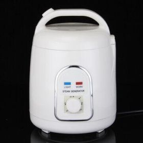 Home Sauna Spa Steamer