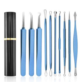 Aluminum Cylinder Mounted Acne Needle Set Of 10 Pieces (Color: Blue)